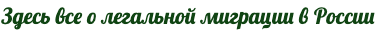 Мой магазин